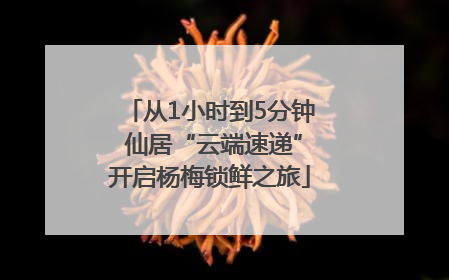 从1小时到5分钟 仙居“云端速递”开启杨梅锁鲜之旅