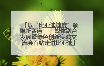 以“比亚迪速度”领跑新赛道——媒体融合发展暨绿色创新实践交流会首站走进比亚迪
