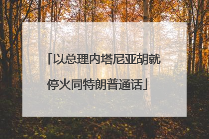 以总理内塔尼亚胡就停火同特朗普通话