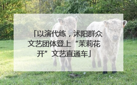 以演代练，沭阳群众文艺团体登上“茉莉花开”文艺直通车