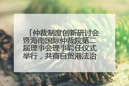 仲裁制度创新研讨会暨海南国际仲裁院第二届理事会理事聘任仪式举行，共商自贸港法治建设新路径
