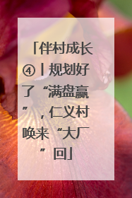 伴村成长④丨规划好了“满盘赢”，仁义村唤来“大厂”回
