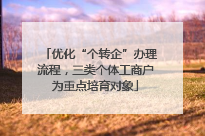 优化“个转企”办理流程，三类个体工商户为重点培育对象