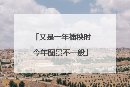又是一年插秧时 今年图景不一般