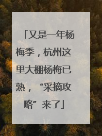 又是一年杨梅季，杭州这里大棚杨梅已熟，“采摘攻略”来了