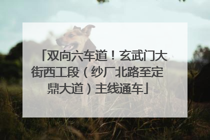 双向六车道！玄武门大街西工段（纱厂北路至定鼎大道）主线通车