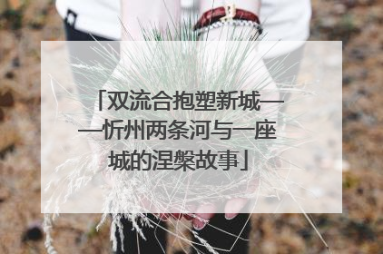双流合抱塑新城——忻州两条河与一座城的涅槃故事