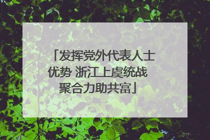 发挥党外代表人士优势 浙江上虞统战聚合力助共富