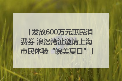 发放600万元惠民消费券 浪漫湾沚邀请上海市民体验“皖美夏日”