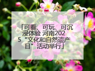 可看、可玩、可沉浸体验 河南2025“文化和自然遗产日”活动举行