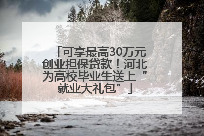 可享最高30万元创业担保贷款！河北为高校毕业生送上“就业大礼包”