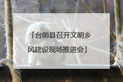 台前县召开文明乡风建设现场推进会