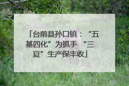 台前县孙口镇：“五基四化”为抓手 “三夏”生产保丰收