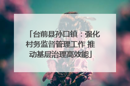 台前县孙口镇：强化村务监督管理工作 推动基层治理高效能