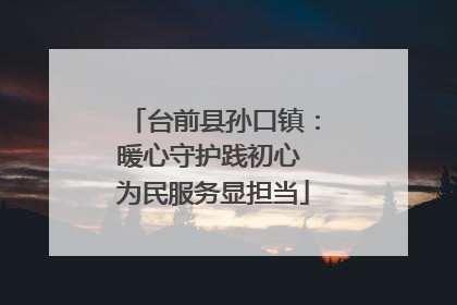 台前县孙口镇：暖心守护践初心 为民服务显担当