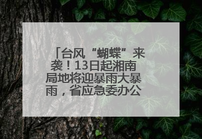 台风“蝴蝶”来袭！13日起湘南局地将迎暴雨大暴雨，省应急委办公室发布汛情提醒