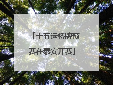 十五运桥牌预赛在泰安开赛