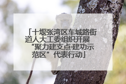 十堰张湾区车城路街道人大工委组织开展 “聚力建支点·建功示范区”代表行动