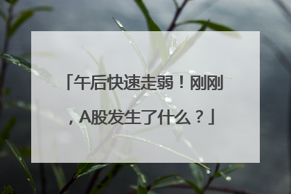 午后快速走弱！刚刚，A股发生了什么？