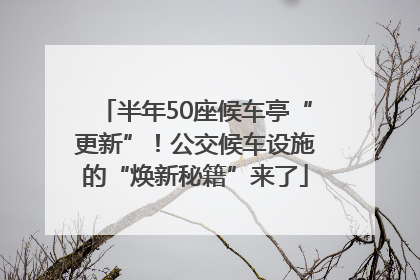 半年50座候车亭“更新”！公交候车设施的“焕新秘籍”来了