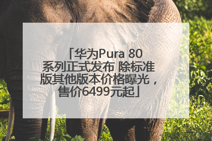 华为Pura 80系列正式发布 除标准版其他版本价格曝光，售价6499元起