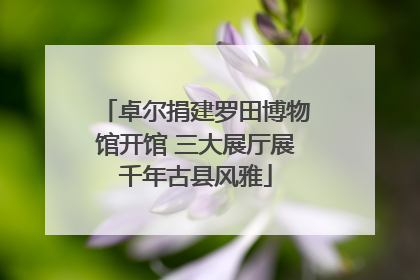 卓尔捐建罗田博物馆开馆 三大展厅展千年古县风雅