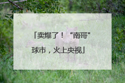 卖爆了！“南哥”球市，火上央视