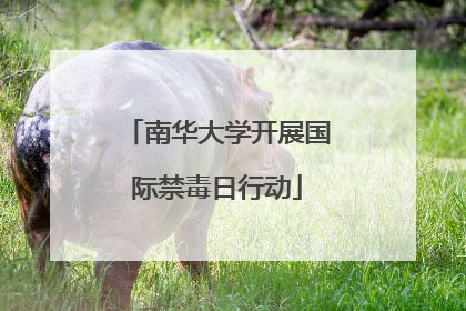 南华大学开展国际禁毒日行动