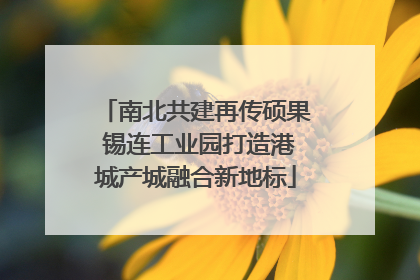 南北共建再传硕果 锡连工业园打造港城产城融合新地标