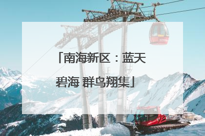南海新区：蓝天碧海 群鸟翔集