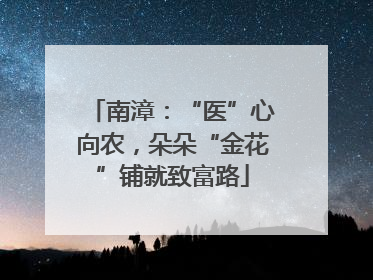 南漳：“医”心向农，朵朵“金花”铺就致富路