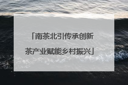 南茶北引传承创新 茶产业赋能乡村振兴