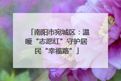 南阳市宛城区：温暖“志愿红”守护居民“幸福路”