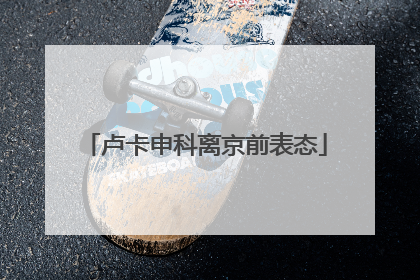 卢卡申科离京前表态