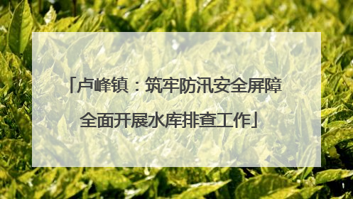 卢峰镇：筑牢防汛安全屏障 全面开展水库排查工作