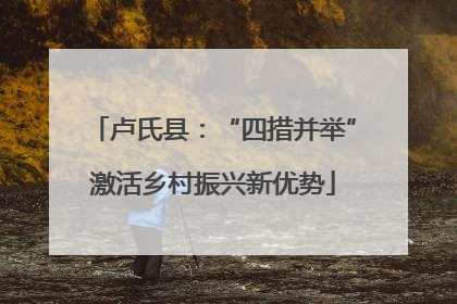 卢氏县：“四措并举”激活乡村振兴新优势