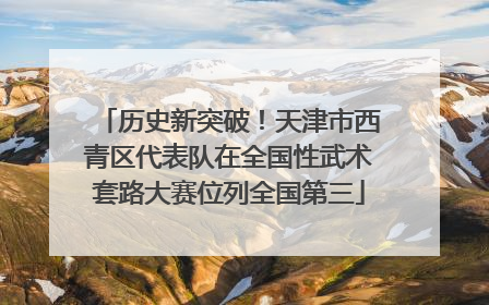 历史新突破！天津市西青区代表队在全国性武术套路大赛位列全国第三