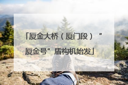 厦金大桥（厦门段）“厦金号”盾构机始发