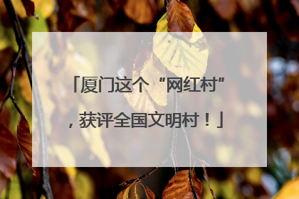 厦门这个“网红村”，获评全国文明村！