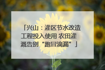 兴山：灌区节水改造工程投入使用 农田灌溉告别“跑冒滴漏”