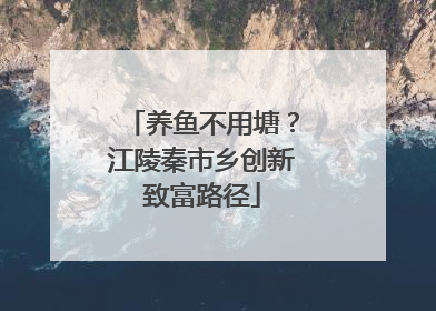 养鱼不用塘？江陵秦市乡创新致富路径