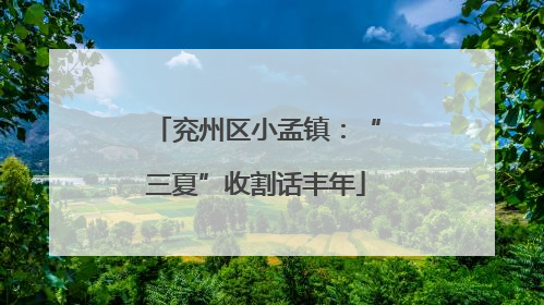 兖州区小孟镇：“三夏”收割话丰年