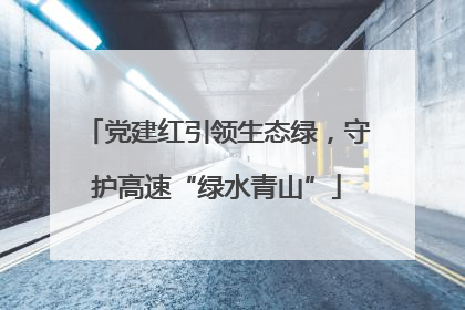 党建红引领生态绿，守护高速“绿水青山”