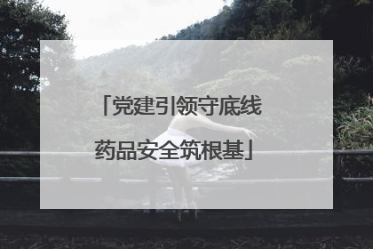 党建引领守底线 药品安全筑根基