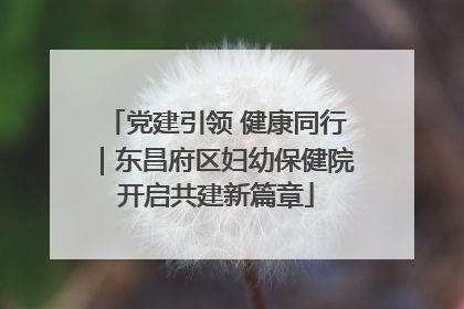 党建引领 健康同行｜东昌府区妇幼保健院开启共建新篇章