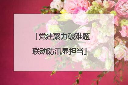 党建聚力破难题 联动防汛显担当