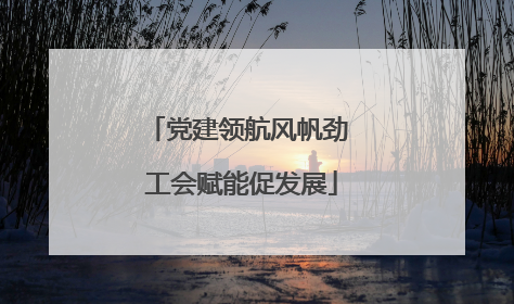 党建领航风帆劲 工会赋能促发展