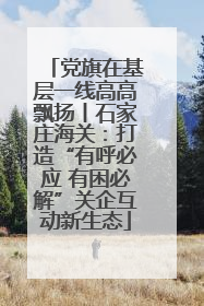 党旗在基层一线高高飘扬丨石家庄海关：打造“有呼必应 有困必解”关企互动新生态
