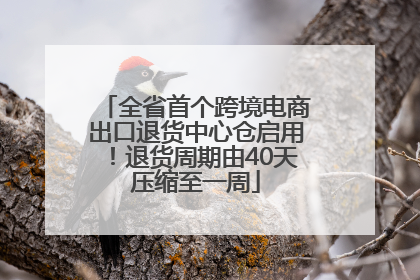 全省首个跨境电商出口退货中心仓启用！退货周期由40天压缩至一周