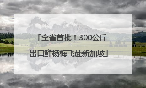 全省首批！300公斤出口鲜杨梅飞赴新加坡